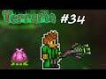Terraria 1.4 Master Mode #34: Looking for Bulbs (LT)