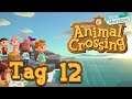 Animal Crossing: New Horizons [Stream] - Tag 12: Endlich eine größere Gerümpelkammer