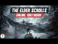 The Elder Scrolls Online: Greymoor | Anteprima