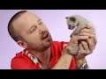 Aaron Paul Plays With Kittens While Answering Fan Questions