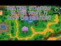 Beating Stardew In the First 17 Days (30 Minutes)