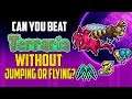 Can You Beat Terraria Without Jumping or Flying? | HappyDays