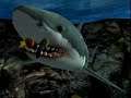 Jaws Unleashed Xbox Intro + Gameplay