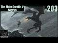 The Elder Scrolls V: Skyrim Playthrough | Part 203
