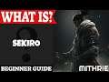 Sekiro Introduction | What Is Series