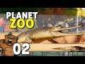 Vizinhos cheios de dentes | Planet Zoo #02 - Gameplay PT-BR