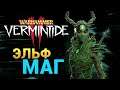 Эльф Маг в Warhammer: Vermintide 2 - новая Кериллиан