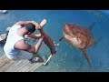GTA 5 Crazy Ragdolls | MEGALODON shark | Water Jumps/Fails ep.3