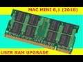 I Replaced The Officially Non User Replaceable RAM On My MacMini 2018 (MacMini 8,1)