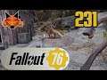 Let's Play Fallout 76 Part 231 - Free Range