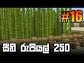 Let's Play Minecraft Survival in Sinhala | Episode 16