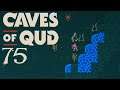 SB Plays Caves of Qud 75 - I Need A Hand Here