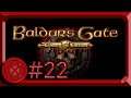 Spiders and Druids - Baldur’s Gate: Enhanced Edition (Blind Let's Play) - #22