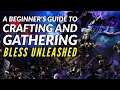 A Beginner's Guide to Crafting & Gathering in Bless Unleashed
