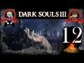 Don't Be A Let's Play Channel | Dark Souls 3 - Episode 12