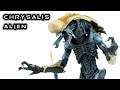 NECA CHRYSALIS ALIEN Aliens vs Predator Arcade Action Figure Toy Review