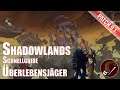 Shadowlands Überleben Jäger Schnellguide World of Warcraft Patch 9.1