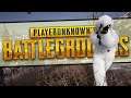 Chicken Jagd 2020 ★ Playerunknown's Battlegrounds ★ PC 1440p60 Gameplay Deutsch German