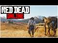 Red Dead Online: A TINY List of the Currently Known Bugs!