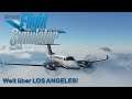 Sehen wir LOS ANGELES! - Microsoft FLIGHT Sim 2020