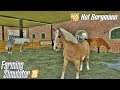 Stajnia, kupno koni i Horse Helper - Hof  Bergmann FS19 ☆ Farming Simulator 19 ☆  #7 ㋡ Anton