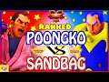 『スト5』ぷーんこ（ダン）  対 サンドバッグ (ダン)｜Poongko(Dan) VS  SandBag(Dan) 『SFV』🔥FGC🔥
