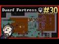Cave Wheat Farming! ► Dwarf Fortress Tutorial Series 🔴 Part 30