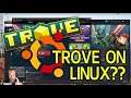 How to Play Trove on Linux