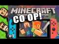 Let's Play Minecraft 2-Player SPLIT SCREEN Co-Op! (Nintendo Switch Bedrock) Part 1 | The Basement