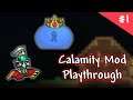 New Series ! | Terraria Calamity Mod Playthrough | EP 1