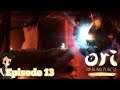 Ori and The Blind Forest #13 LET'S PLAY FR
