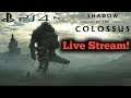 RAF PLAYS : Shadow of the Colossus Finished! : Live Streaming!