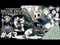 Zwei haben ausgeträumt - Hollow Knight #43
