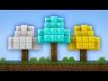 BLOCKS grow on TREES