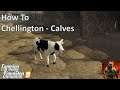 Chellington Valley - Calves with seasons