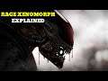 The Rage Xenomorph Explained