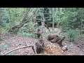 Walking about in Selsdon Woods Live! 15/07/2021 - Mobile Stream (208)
