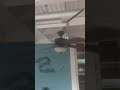 Ceiling Fan With Bent Blade!