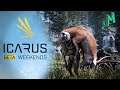 Icarus - Surviving Solo - Storms and Bears - Stream 2