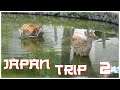 Nara et le Mont Inari / Kyoto | Japan Trip #2
