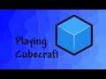 Playing whatever (cubecraft)