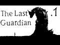 The Last Guardian Gameplay ITA #1 Chi trova un Trico trova un tesoro