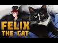 A Day in the Life of Felix, the Cat