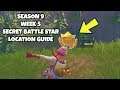 Fortnite Season 9 Week 5 Secret Battle Star Location Guide