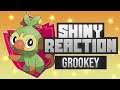Shiny Grookey Reaction | 1,466 Eggs | Masuda Method | Pokemon Shield