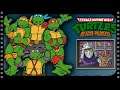 Teenage Mutant Ninja Turtles: Rescue-Palooza