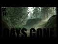 Days Gone - Gameplay FR PC 4K High Settings [ Qu'est-ce qu'ils t'on fait ? ] Ep14