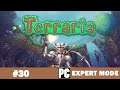 Terraria 1.4 Expert Mode #30 The Old One's Army und Dreadnautilus