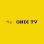 OnDi TV (THE LITTLE STAR)
