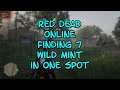 Red Dead ONLINE Finding 7 Wild Mint in One Spot
